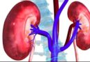 हाई बीपी और बढ़ा हुआ शुगर लेवल बढ़ा सकता है किडनी रोग का खतरा: विशेषज्ञ