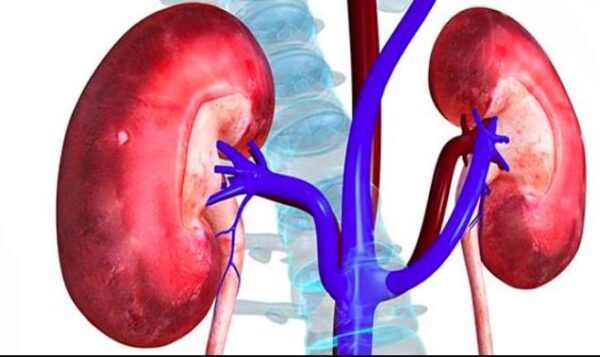 हाई बीपी और बढ़ा हुआ शुगर लेवल बढ़ा सकता है किडनी रोग का खतरा: विशेषज्ञ