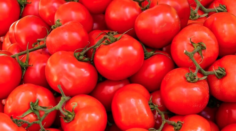 क्या किडनी स्टोन के मरीजों को टमाटर खाना चाहिए? जानें विशेषज्ञों की राय