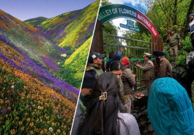 पर्यटकों के स्वागत को तैयार हुई विश्व प्रसिद्ध फूलों की घाटी
