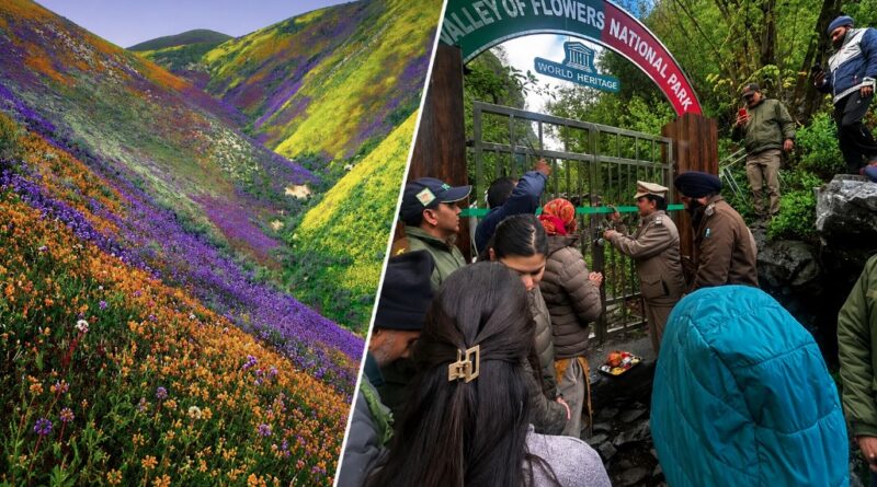 पर्यटकों के स्वागत को तैयार हुई विश्व प्रसिद्ध फूलों की घाटी