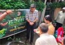 हरेला पर्व पर डीएम डॉ. आशीष चौहान ने किया पौधरोपण, दिया हरित उत्तराखंड का संदेश